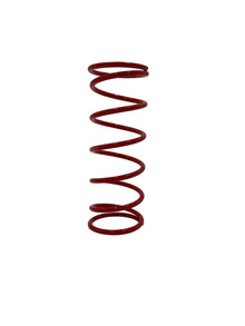 Polaris RZR 170 Clutch Spring 2000 RPM